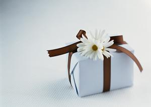 陶器の和食器を購入するならここ