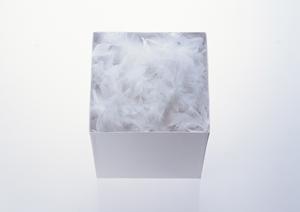 シンボルツリーを探しているのなら