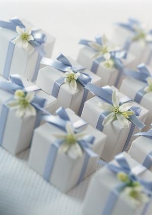 陶器は信頼できる通販サイトで購入